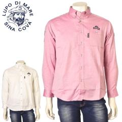 �V�i�R�o SINACOVA 2025�H�~�V�� �����Y �����{�^���_�E���V���c