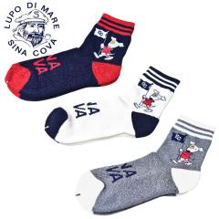 �V�i�R�o SINACOVA 2025�H�~�V�� �����Y �\�b�N�X