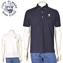 �V�i�R�o SINACOVA 2026�t�ĐV�� �����Y �����{�^���_�E���|���V���c