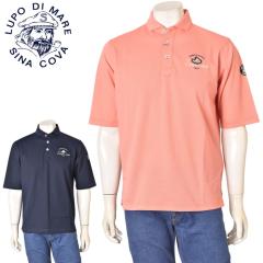 �V�i�R�o SINACOVA 2026�t�ĐV�� �����Y �ܕ����|���V���c