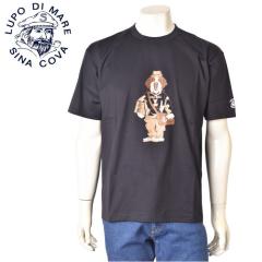 �V�i�R�o SINACOVA 2026�t�ĐV�� �����Y ����T�V���c