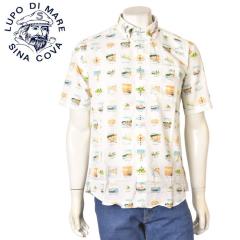 �V�i�R�o SINACOVA 2026�t�ĐV�� �����Y �����{�^���_�E���V���c