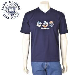 �V�i�R�o SINACOVA 2026�t�ĐV�� �����Y ����V�l�b�NT�V���c