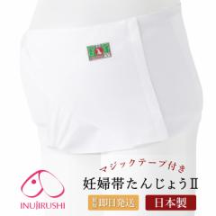 }^jeB Dw  { 񂶂傤2 HB8013 炵 100 Rbg яj Y { ̓ 1/1