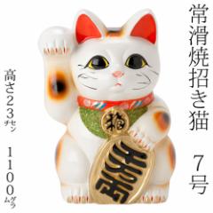 튊ā@L@7L@Eグ (143-59-86)@m̍H|i@Tokoname-yaki Lucky cat