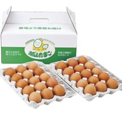 �m��ʁE��ˁn�q�����{�{��r�����Ǘt�_���܂��@�̂��E��s��