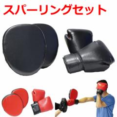 新品 正規 TWINS 本格 ボクシンググローブ PU青/サイズ選択/8/10