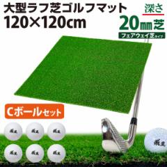 y|Cg10{z St}bg 20mm t St K }bg 120~120cm CZbg ACA Vbg Av[` Kp Rough Turf 