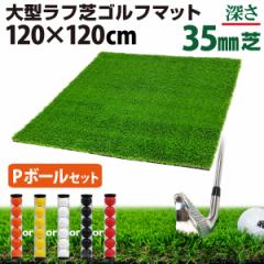 y|Cg10{z St}bg 35mm t St K }bg 120~120cm PZbg ACA Vbg Av[` Kp Rough Turf 