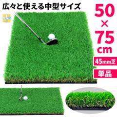 y|Cg10{z St}bg 45mm 50~75cm Pi t St K }bg fU XCO ACA Av[` Rough Turf K