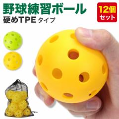 12個セット ナガセケンコー KENKO ケンコーボール H号 野球ソフト