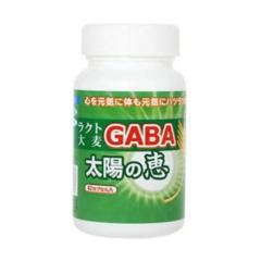 ���N�g�唞GABA ���z�̌b 62�J�v�Z�� �� 1�J�v�Z������GABA24mg�E��-�A�~�m���_25mg�E�L�g�T��335mg�z�� �L�g�T���H�i�H��