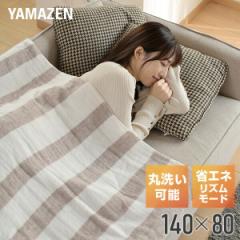 電気毛布｜お店のカテゴリ｜くらしのeショップネットショッピング
