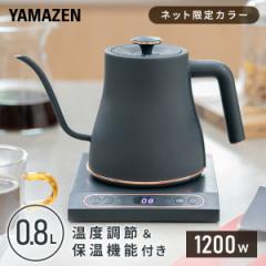 電気ケトル 温度調節 保温機能 細口 0.8L  温度設定50-100度  EKN-EC1280(GR)  温度調節電気ケトル 