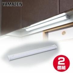 2Zbg LEDړI LEDLb`Cg 1170lm (60.4cm)  LT-B13N  LEDo[Cg Lb`Cg Lb`  LED