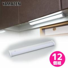 12Zbg LEDړI LEDLb`Cg 820lm (45.8cm)  LT-B09N  LEDo[Cg Lb`Cg Lb`  LED