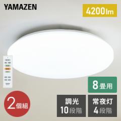 2Zbg LEDV[OCg(8p) Rt 4200lm 10iK(铔4iK)@\t  LC-E08*2   RP YAMAZEN   y