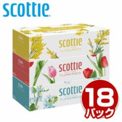 XRbeB eBbVy[p[ t[{bNX 500(250g) 3~18pbN(54)  scottie eBbV eBV[ {bNXeBbV