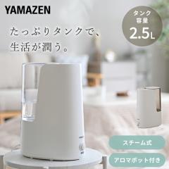 ⚪︎極美品⚪︎スチーム式加湿器 加湿器｜お店のカテゴリ｜くらしのeショップネットショッピング・通販