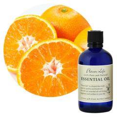 �t���[�o�[���C�t �G�b�Z���V�����I�C�� ���B�݂��񐸖� 100ml cost62662