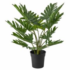 IKEA - IKEA ミールヘーデン IKEA/イケア/通販]MYRHEDEN ミールヘーデン メモボード クリップ