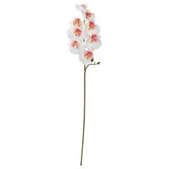 IKEA �C�P�A ���� ���� ���O�p Orchid �z���C�g 60cm m90587157 SMYCKA �X�~�b�J 