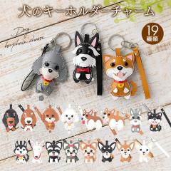 L[z_[ L[`[ nhCh ybg  U[  킢  e  ꂳ v[g Mtg pI  