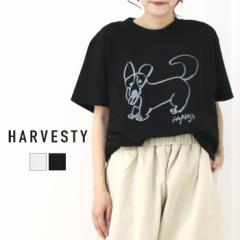 n[xXeB HARVESTY vgTVc PRINTED T-SHIRT DOG A52417 fB[X Y  CXg R{ 