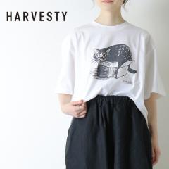 �n�[�x�X�e�B HARVESTY �v�����g�{�b�N�XT�V���c [CAT-1] A52609 ���� �L �C���X�g �R���{ �g�b�v�X �� ���f�B�[�X �����Y ���j�Z�b�N�X