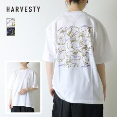 �n�[�x�X�e�B HARVESTY �v�����g�{�b�N�XT�V���c [CAT-3] A52612 ���� �L �C���X�g �R���{ �o�b�N�v�����g ���S ���f�B�[�X �����Y ���j