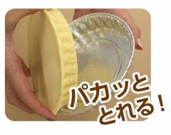 �������� �p�J�b�I�g�@���M�����[��2������ �������h�~�R�[�e�B���O 