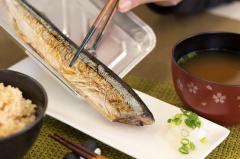 �������� �p�J�b�I�g�@���[�W2������ �������h�~�R�[�e�B���O