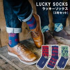 yGENTLEMEN S HARDWAREzLUCKY SOCKS bL[\bNX 591209200 yC \bNX h Y Xy[XWC ̓ ̓ hV̓