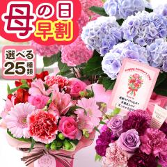 ��̓� ���� �� 2026 �v���[���g �� �M�t�g ���A�� �A�W�T�C �A�����W�����g �X�^���f�B���O�u�[�P �ԑ� �J�[�l�[�V���� �������� �C�x��