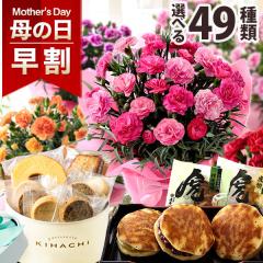 �������{���I ��̓� 2026 �v���[���g �� �M�t�g �ԂƃX�C�[�c �Z�b�g ���A�� �J�[�l�[�V���� 5���� �s���N ���b�h ���َq �������� �C�x