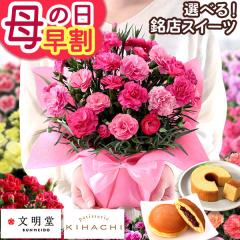 ��̓� ���� 2026 �� �J�[�l�[�V���� 13��� �� �I�ׂ�I�l�C���X�X�C�[�c �Z�b�g �M�t�g �ԂƃZ�b�g �L�n�` ������ ���A�� 5���� �Ԕ� 