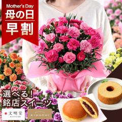 �������{���I ��̓� 2026 �J�[�l�[�V���� 13��� �� �I�ׂ�I�l�C���X�X�C�[�c �Z�b�g �L�n�` ������ �� ���A�� 5���� �Ԕ� ��� �M�t�g