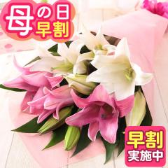 �������{���I ��̓� �� �M�t�g �v���[���g 2026 �ԑ� �u�[�P ���� ��� �S�� �I���G���^�������[ �C�x���g�M�t�gY �������� ���b�Z�[�W