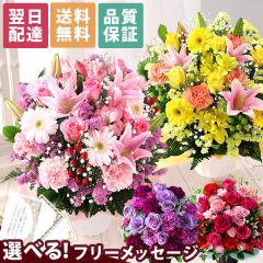  Mtg  a v[g  j Iׂt[Mtg ܂AWg MTCY o  J[l[V 