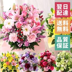 �� �M�t�g �a���� �v���[���g ���� ���j�� �I�ׂ�t�����[�M�t�g ���܂����A�����W�����g M�T�C�Y �o�� ���� �J�[�l�[�V���� �����L�O��