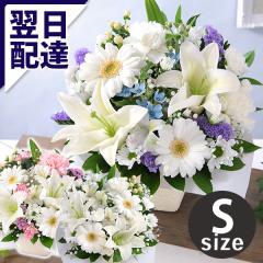 �N�[���֑Ή� ������ �� �������� ���ފ� �������̉� ������� ���� �� ���� �G�� �A�����W�����g ���� �{�̂��܂����A�����WS
