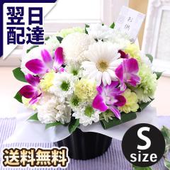 ~    ފ ̉  14܂     G AWg  {̂܂AWS