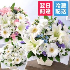 �N�[���֑Ή� ������ �� �������� ���ފ� �������̉� ������� ���� �� ���� �G�� �A�����W�����g ���� �{�̂��܂����A�����WS