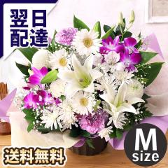 ~    ފ ̉  14܂     G AWg  {̂܂AWM