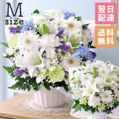������ �� �������� ���ފ� �������̉� ������� ���� �� ���� �G�� �A�����W�����g ���� �{�̂��܂����A�����WM