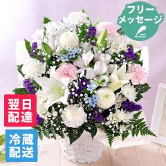 �N�[���֑Ή� ������ �� �������� ���ފ� �������̉� ������� ����  ���� �G�� �A�����W�����g ���� �{�̂��܂����A�����WL