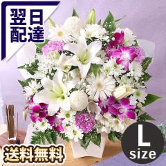 ~    ފ ̉  14܂     G AWg  {̂܂AWL