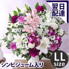 ~    ̉  14܂     G AWg  {̂܂AWLL