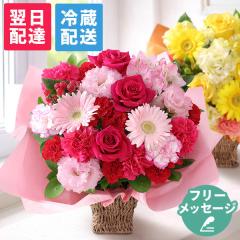 �N�[���֑Ή� �� �M�t�g �a���� �v���[���g ���j�� ���� �I�ׂ�t�����[�M�t�g ���܂����A�����W�����g �G�N�� �o�� �K�[�x�� �J�[�l�[�V