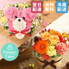  14܂ a o[Xf[ v[g P[L j Lh Iׂt[P[L ԃAW Mtg 킢 LO